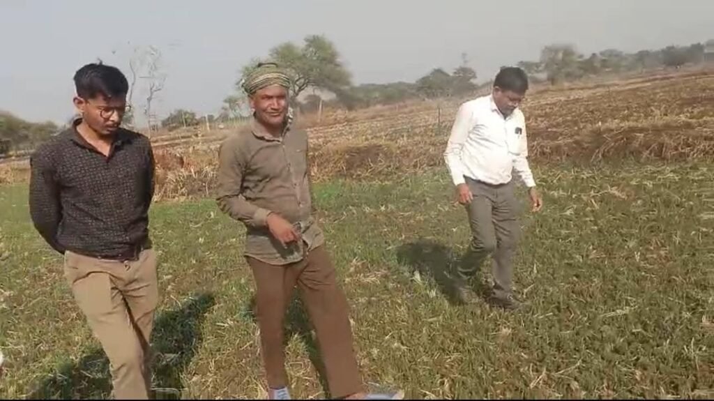 धान से हटकर समृद्धि की राह: जेवरा के किसान दिलीप सिन्हा ने दलहन-तिलहन से कमाए 25 लाख रुपये.