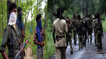 छत्तीसगढ़-मध्य प्रदेश सीमा पर 11 नक्सली करेंगे सरेंडर, हार्डकोर नक्सली कबीर भी शामिल