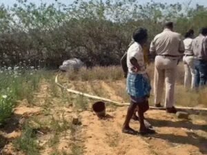 रायगढ़ में 72 घंटे में अफीम माफिया पर बड़ा प्रहार, संगठित नेटवर्क की आहट से बढ़ी चिंता