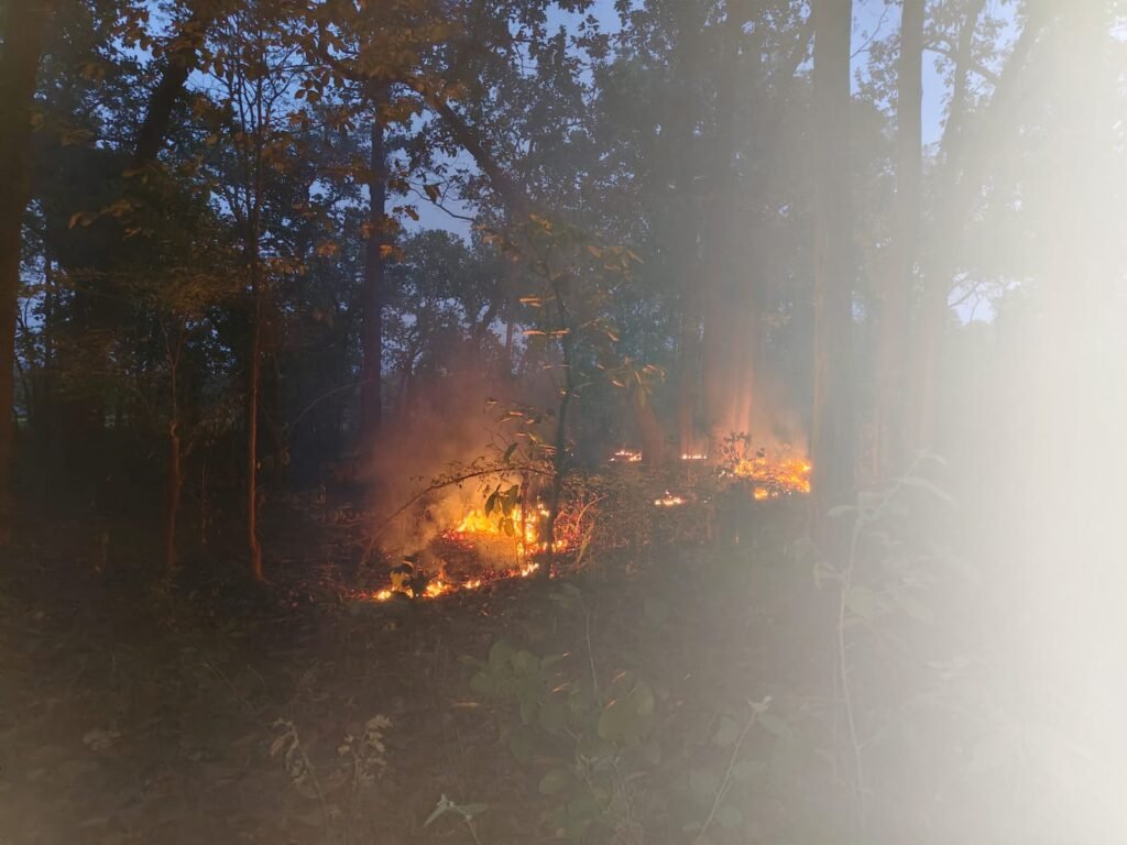 मैनपुर वन मुख्यालय से 10 किलोमीटर दूर तौरेंगा परिक्षेत्र में लगी भीषण आग, वन कर्मी अपने-अपने मुख्यालय में बैठे