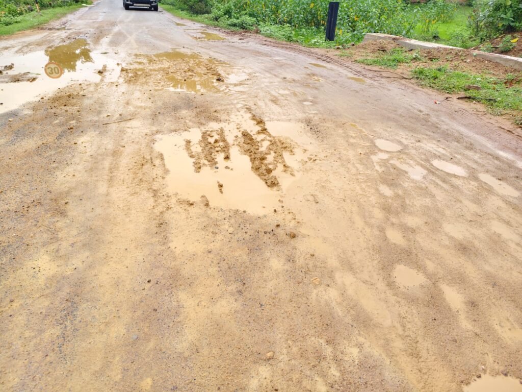 6 माह में उखड़ने लगी 19.81 लाख की पीडब्ल्यूडी की सीसी सड़क, पहली बारिश ने खोली निर्माण की पोल