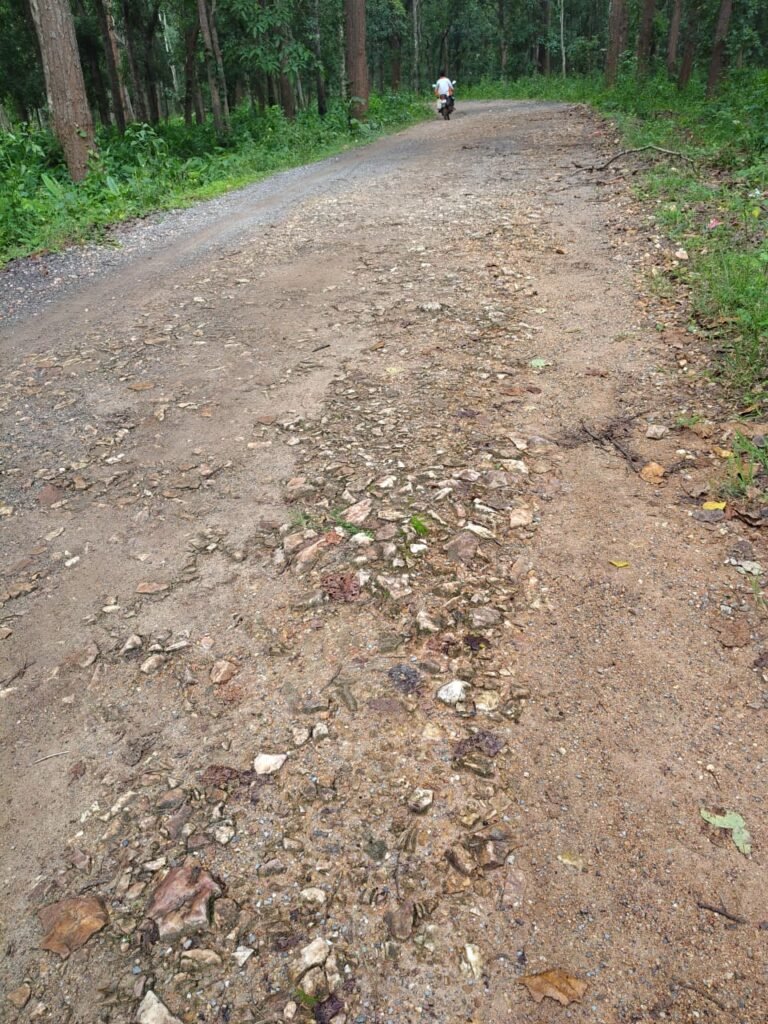 ठेका खत्म हुआ, सड़क भी बदहाल: पथर्री-बोइरगांव मार्ग के नवीनीकरण का इंतजार