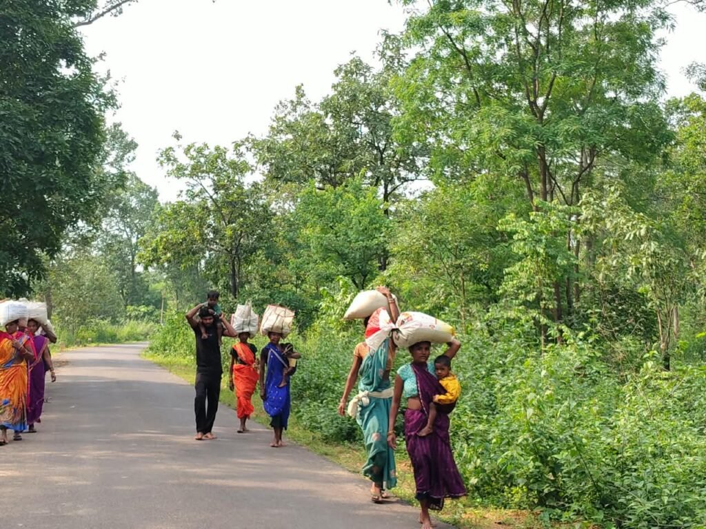 राशन के लिए 10 किमी का कठिन सफर, हाथी प्रभावित जंगल पार करने को मजबूर ग्रामीण